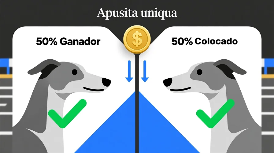 Diagrama explicativo de apuesta each way en carreras de galgos mostrando cobertura al ganador y colocado