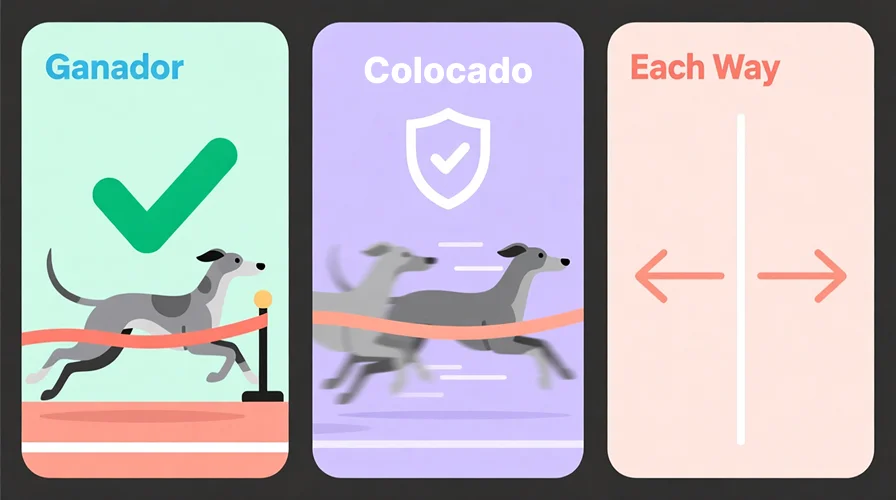 Guía visual de los tres tipos de apuestas básicas en galgos: ganador, colocado y each way para principiantes